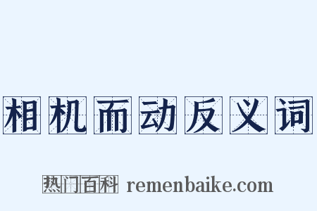 相机而动反义词是什么意思的图片